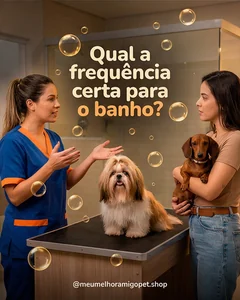 Post de pet shop sobre frequência do banho