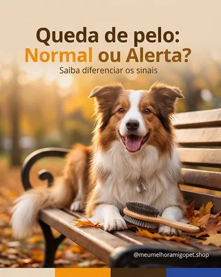 Post de pet shop sobre queda de pelo