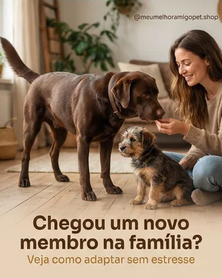 Post de pet shop sobre adaptação de um novo animal
