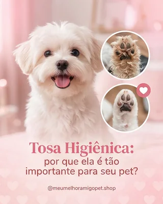 Post de pet shop sobre tosa higiênica